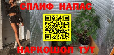 PSILOCYBIN Новозыбков