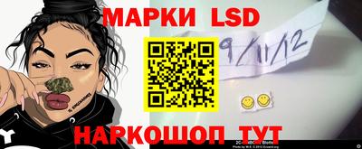 a pvp Новодвинск