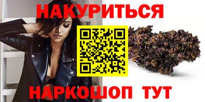 a pvp Новодвинск