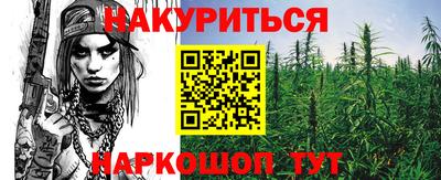 a pvp Новодвинск