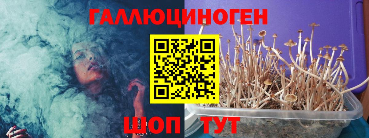 Псилоцибиновые грибы Psilocybine cubensis  Псилоцибиновые грибы мицелий  купить  сайты  Вход с VPN  Партизанск 